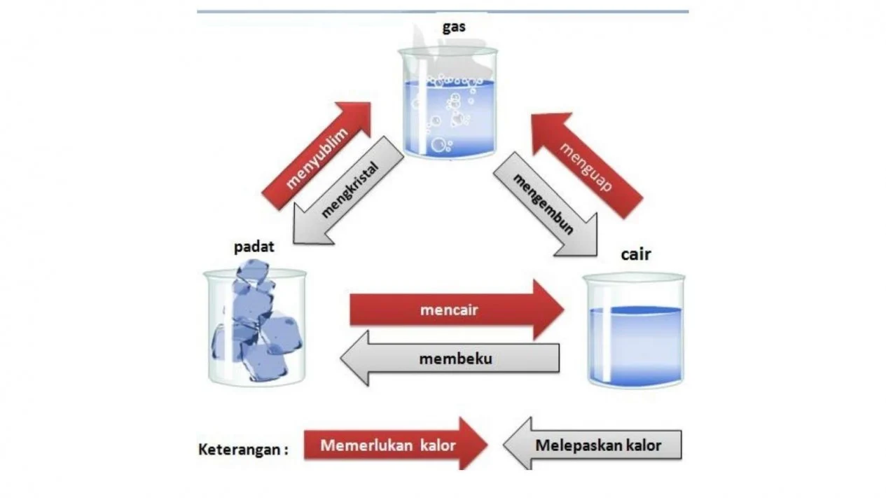 https://sevketsahintas.com/